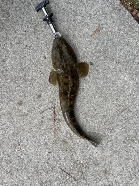 マゴチ好調！！！！