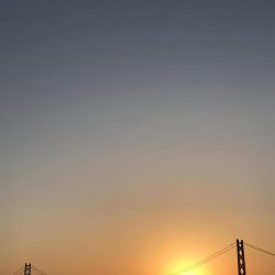 秋はイカがおすごし?