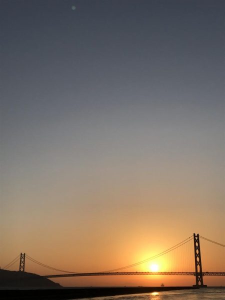 秋はイカがおすごし?