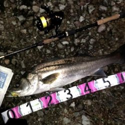 ががっときました。