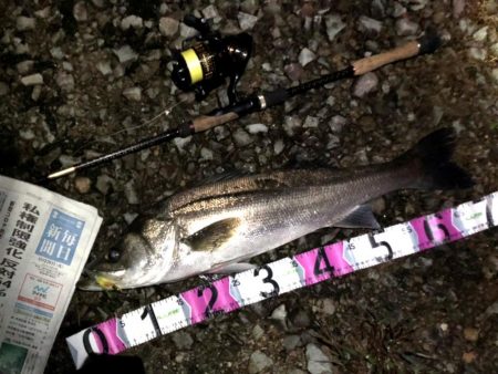 ががっときました。