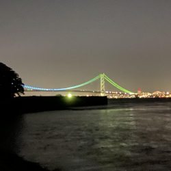 久しぶりの淡路島釣行