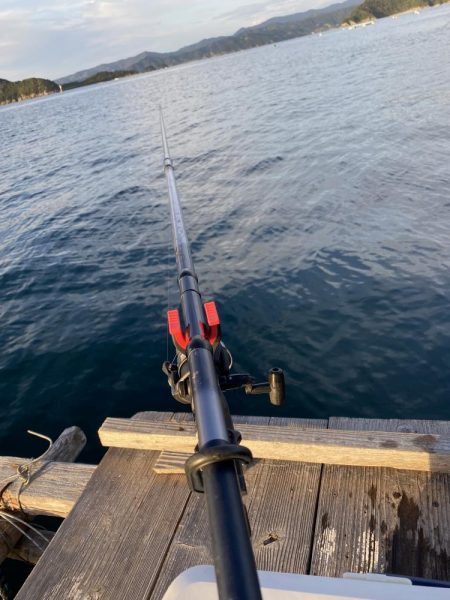 アオリイカとカワハギ狙うも…