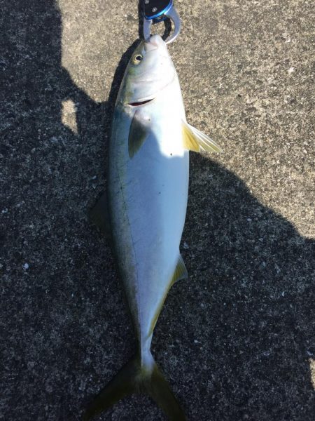 ファミリーフィッシング4