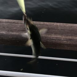 無風のシーサイド