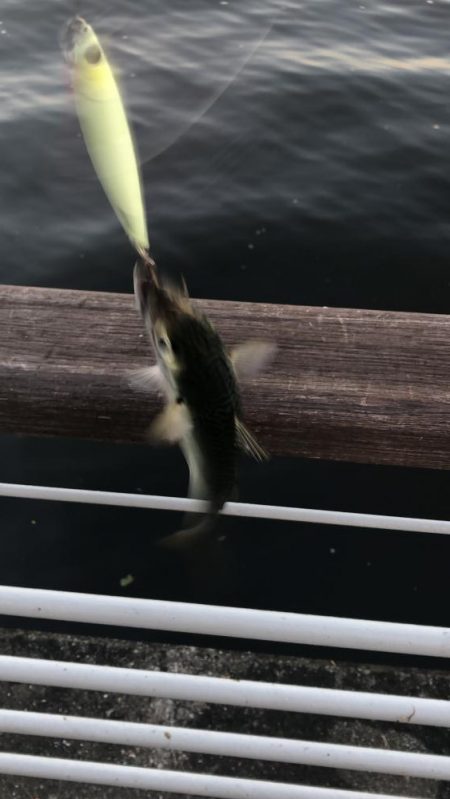 無風のシーサイド