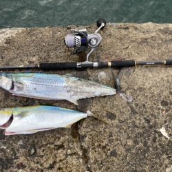 マイクロベイトパターン