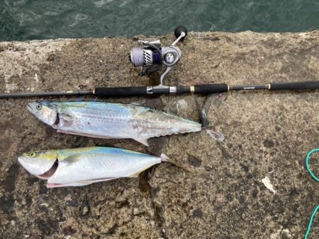 マイクロベイトパターン