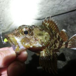 雨が降る前にライトゲーム