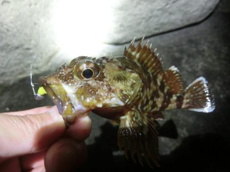 雨が降る前にライトゲーム