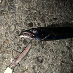 もう夜釣りは激寒です