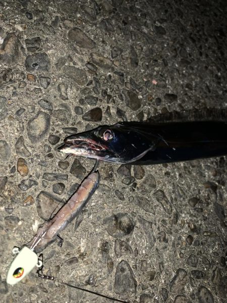 もう夜釣りは激寒です