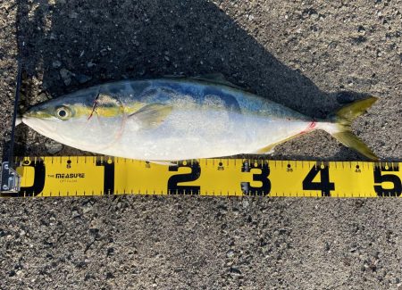 帰省中釣果‼️…