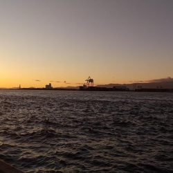 太刀魚何処いった？