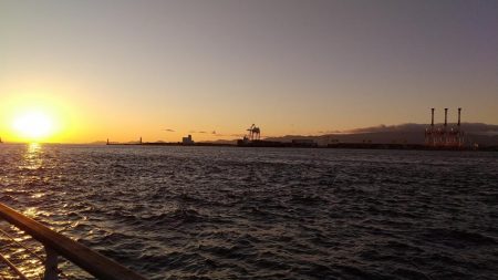 太刀魚何処いった？