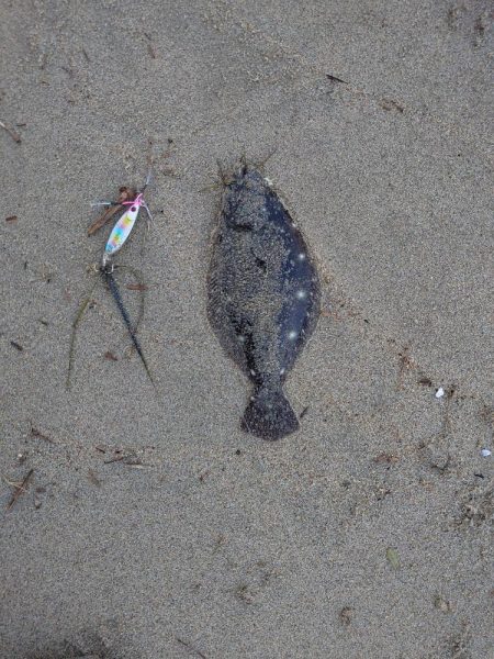 久々釣行でフラットラッシュ