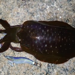 ハンドランディング