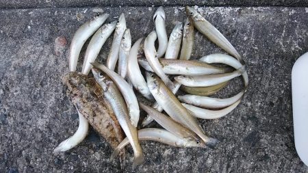 早朝から出撃しました