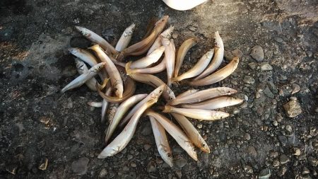 播磨新島３連投