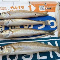 活性が下がった播磨新島のキス