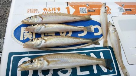 活性が下がった播磨新島のキス