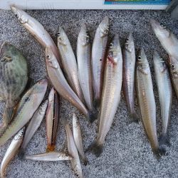 投げ「引き釣り」