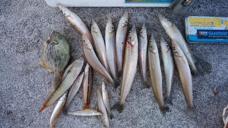 投げ「引き釣り」