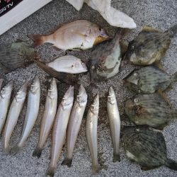 東二見に連投しました