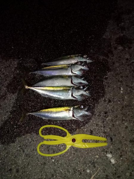 プチファミリーフィッシング　GAME