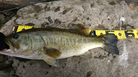 雨上がりの2時間釣行