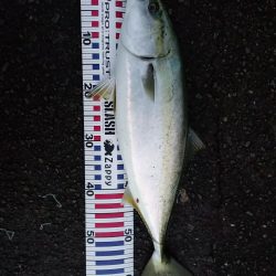 初めてといつもの