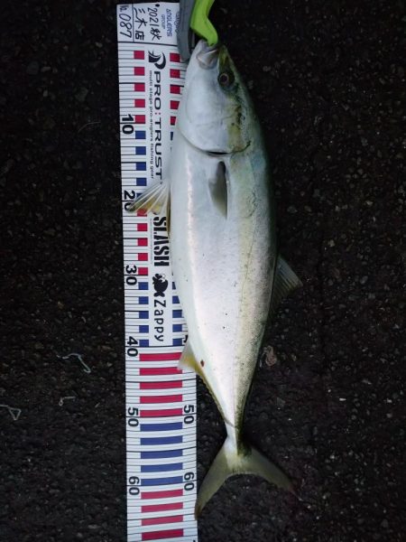 初めてといつもの