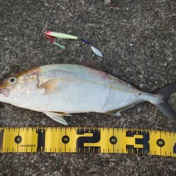 久しぶりの沖堤防