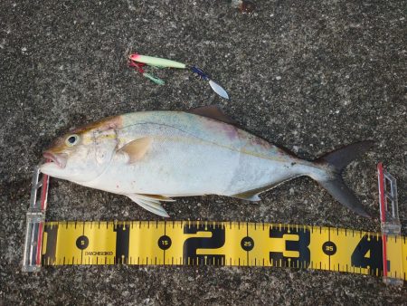 久しぶりの沖堤防