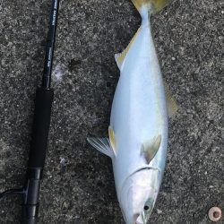 たかたかの釣日記