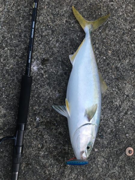 たかたかの釣日記