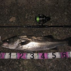 ががっときました。