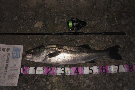 ががっときました。