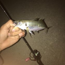 初投稿！釣り歴7年目の中学2年生でぇーす