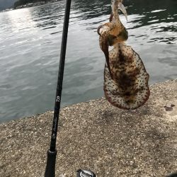 観光目的でしたが…