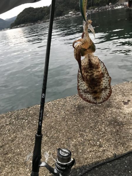 観光目的でしたが…