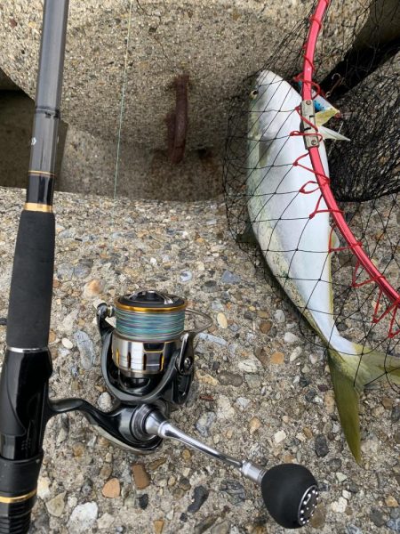 ガハハハハ　ツバス大