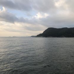 タチウオどこいった?