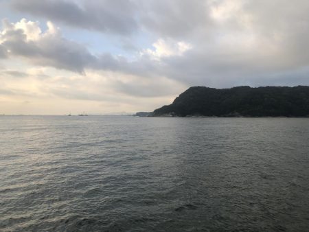 タチウオどこいった?