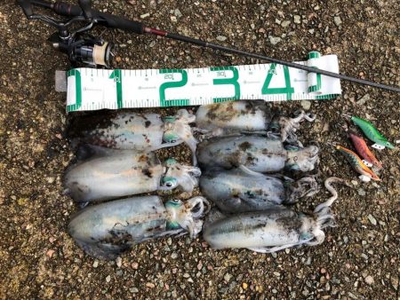 2021佐渡ヶ島 エギング　29回目