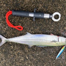 ショアジギング