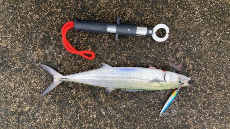 ショアジギング
