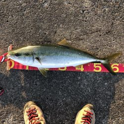 打倒‼️貝塚人工島⁉️