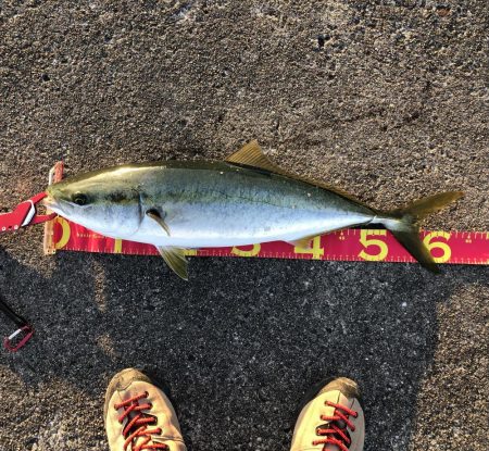 打倒‼️貝塚人…