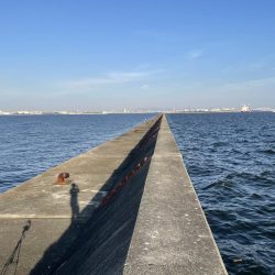 武庫一でライトワインド！